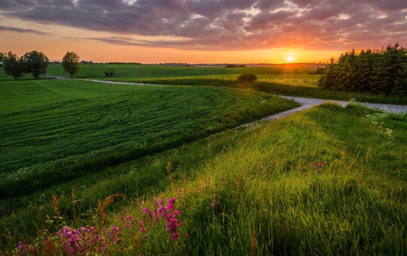 Create meme: field dawn, nature landscape, the landscape is beautiful