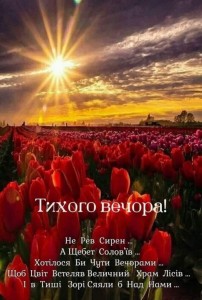 Создать мем: поле тюльпанов, тюльпаны красные, поле красных тюльпанов