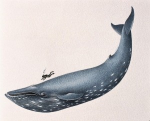 Создать мем: голубой кит, книга «удивительный мир звуков»[, длина синего кита