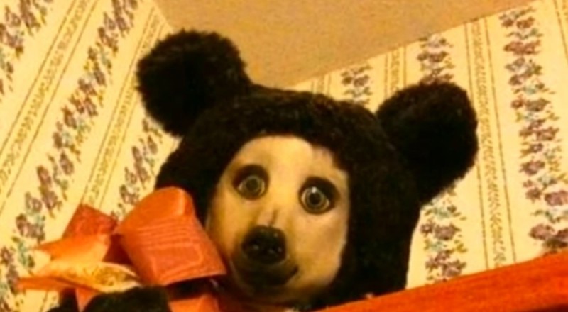 Create meme: Teddy bear kripipasta, teddy creepypasta, Teddy bear kripipasta