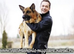 Create meme: dog, German shepherd, inspector Rex