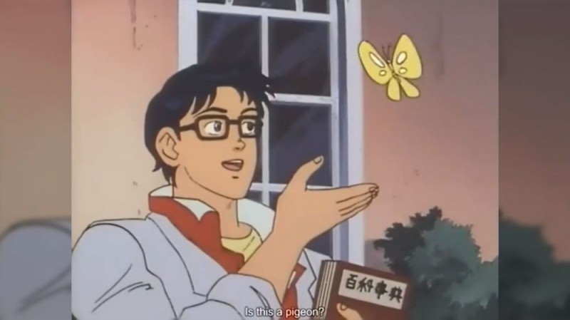 Create meme: butterfly meme, meme with butterfly anime, is this a pigeon anime