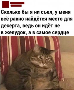 Создать мем: жирные вздохи сожаления мем кот, жирные вздохи, жирные вздохи сожаления