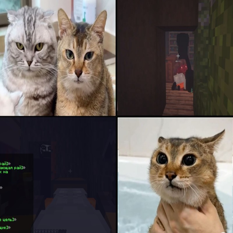 Create meme: the cat in minecraft, cats in minecraft meme, the cat from Minecraft