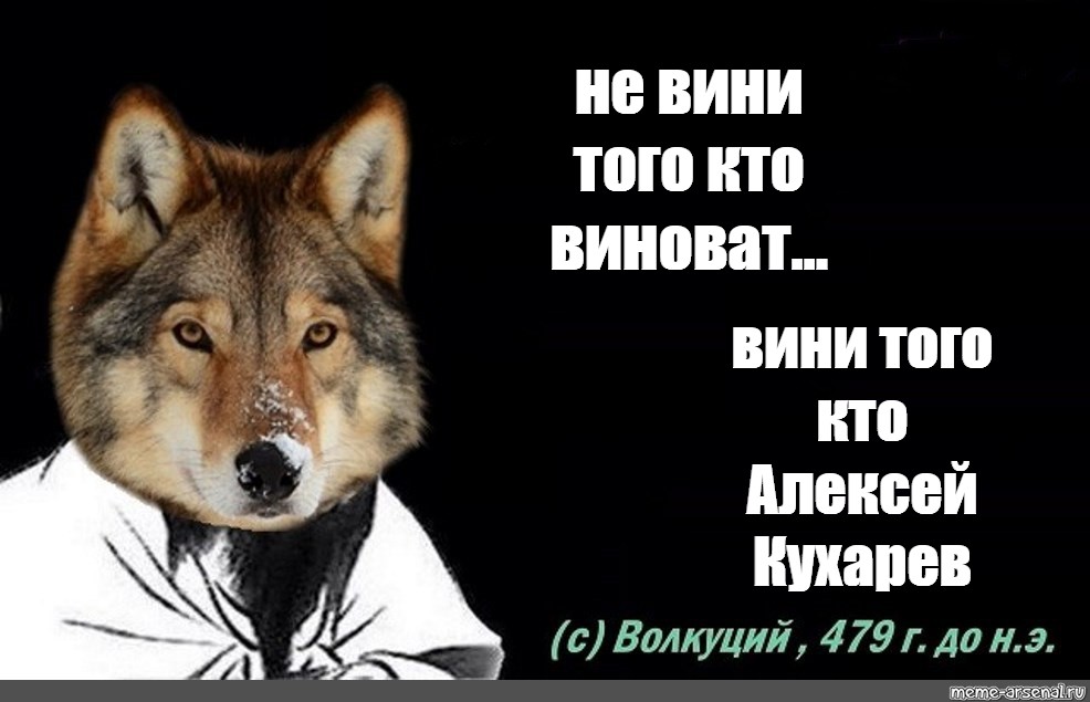 Не вини текст. Цитаты волка. Волк брат Мем. Волк не волк если он волк. Мудрость волка цитаты Мем.