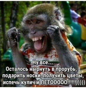 Create meme: funny monkeys