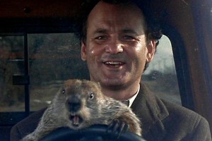 Create meme: Groundhog Phil, Groundhog day 1993, marmot