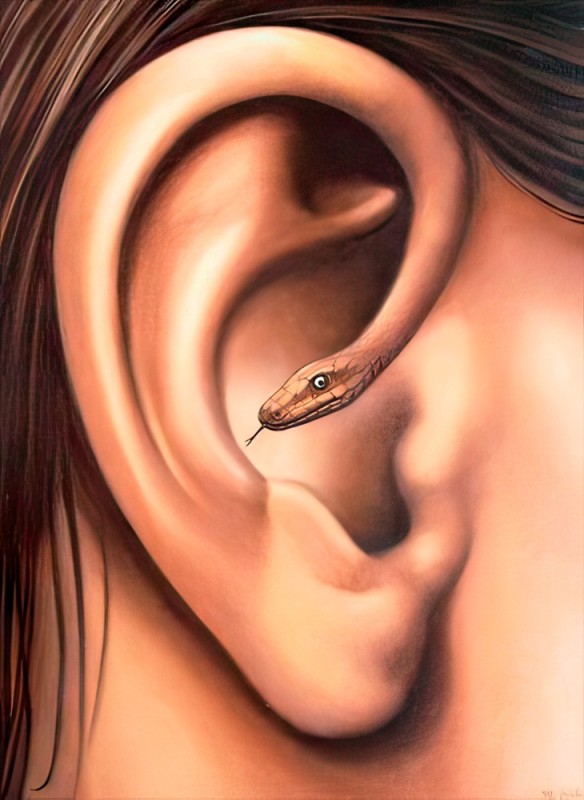 Create meme: surrealism paintings, the human ear, ear 