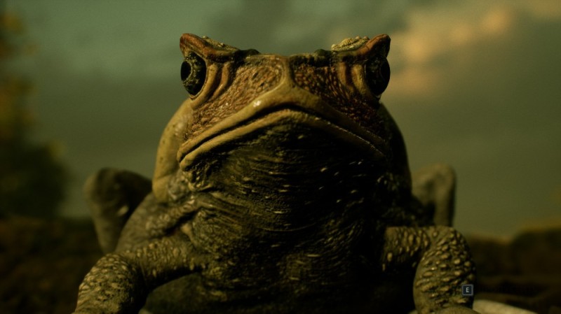 Create meme: The great toad, amazing frog, an ordinary toad