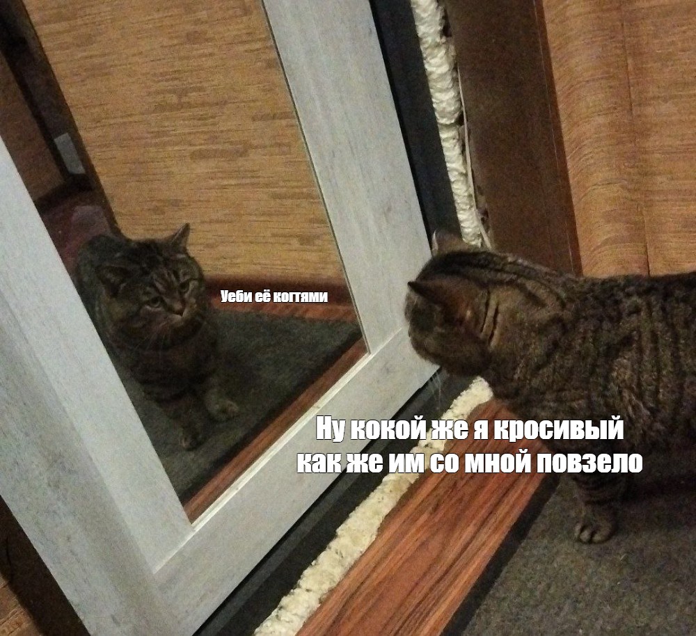 Создать мем: null