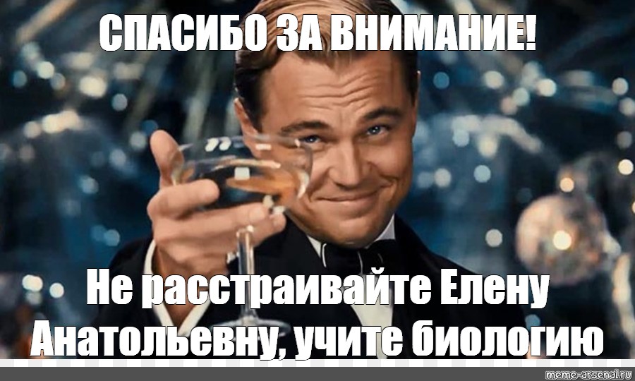 Внимание изучали. Спасибо за внимание Мем учите биологию. Мем спасибо завнмание учите биологию. Спасибо за внимание ДИКАПРИО. Спасибо за внимание Елена Анатольевна Мем.