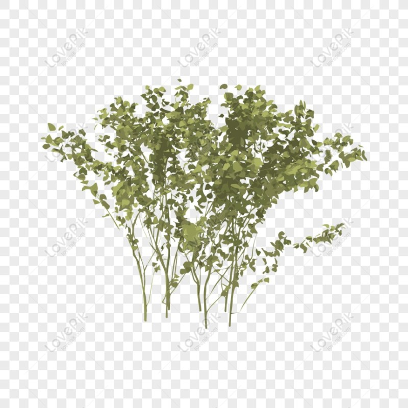 Create meme: a bush on a transparent background, peg bushes, a bush without a background