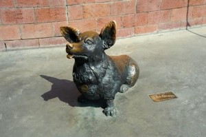 Create meme: Orenburg dog sculpture, bronze sculpture of dog, a monument to the dog in 130 quarter of Irkutsk