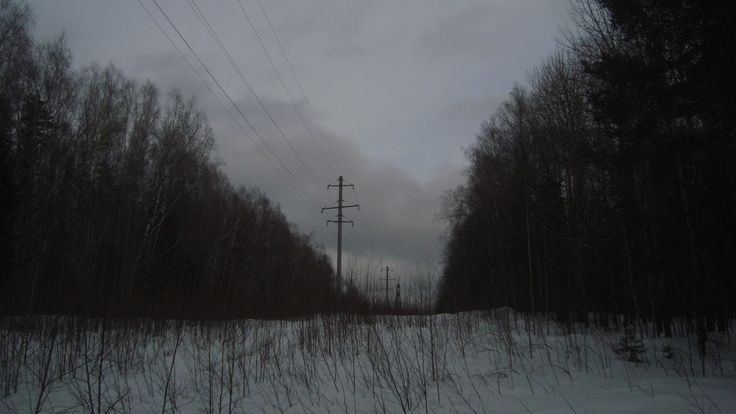 Create meme: gaitolovo power line clearing, nature , forest 