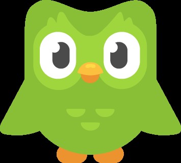 Create meme: owl duolingo, duolingo owl, the duolingo bird