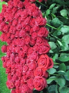 Create meme: a bouquet of roses, bouquet of roses, red roses