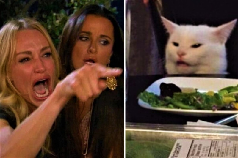 Create meme: meme two women yelling at the cat, meme with two girls and a cat, meme with a cat and two women