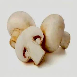 Create meme: cut champignons, champignons on a white background, ordinary champignon