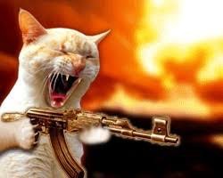 Create meme: a cat with a machine gun, the cat shoots out of the machine, cat shoots