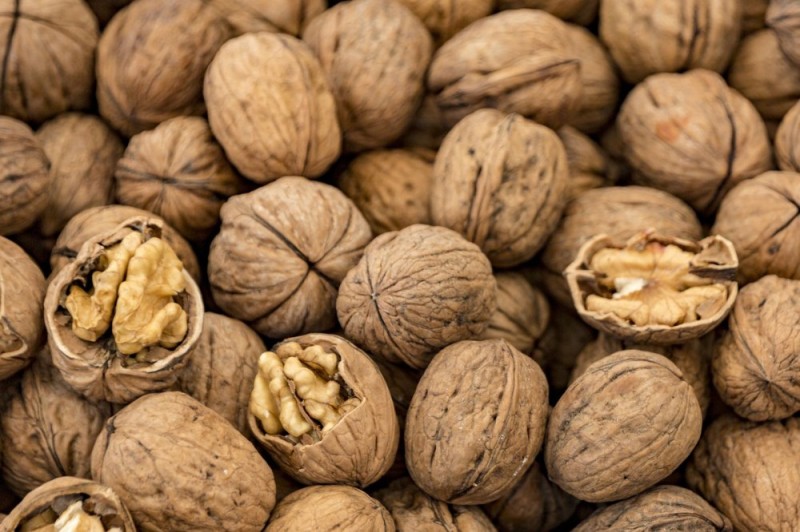 Create meme: walnut, nuts walnuts, walnut varieties