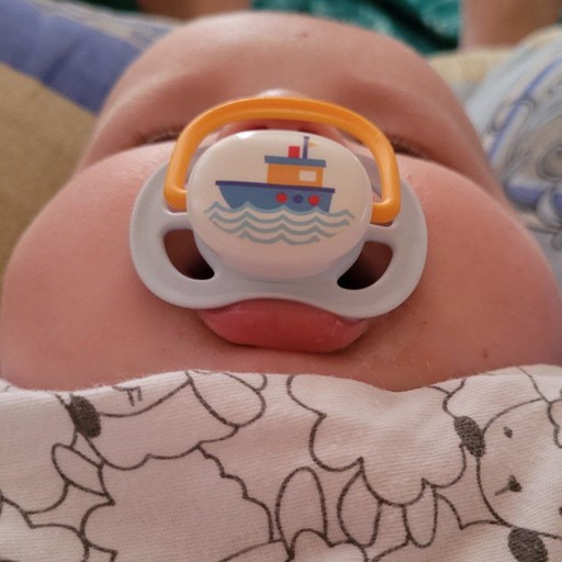 Create meme: dummy, pacifier soother, dummy snubnoses