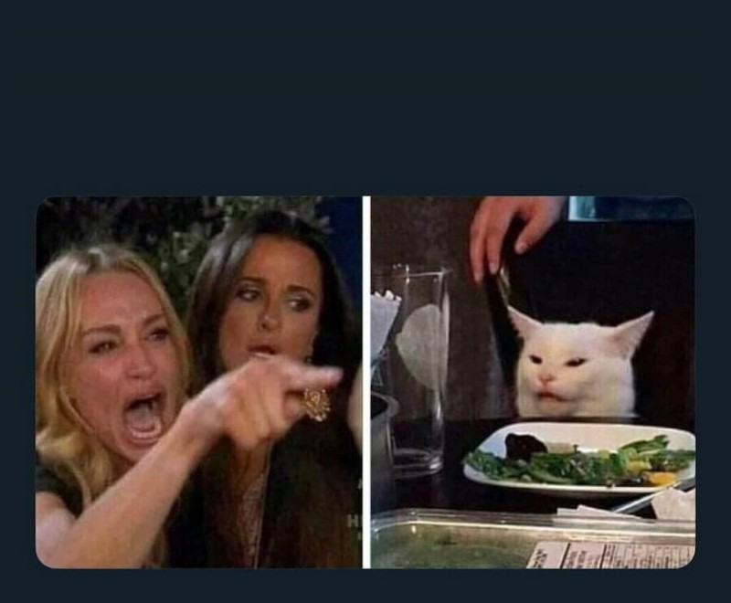 Create meme: meme woman yelling at the cat, memes with a cat and two women, meme with a cat and two women