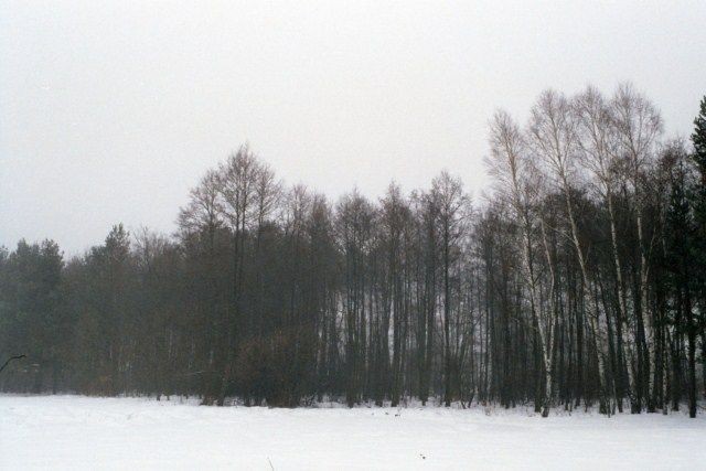 Создать мем: лесная поляна, зимняя охота, мебель