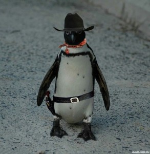 Create meme: penguin cowboy, stoned penguin, evil penguin