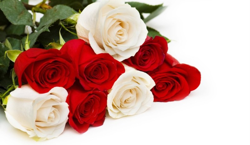 Создать мем: розы открытки красивые, красные и белые розы, букеты роз открытки