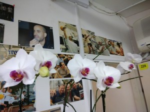 Create meme: Orchid white, why is Orchid not blossom in winter, Orchid is a wonder of the world