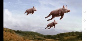 Создать мем: летающие свиньи фильм, летающая свинка, свинья с крыльями