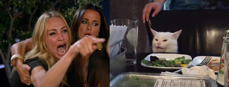 Создать мем: женщина кошка мем, мем с котом и девушками за столом, мем с котом за столом