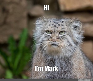 pallas cat meme