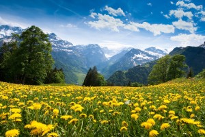 Create meme: beautiful pictures summer mountains, the nature of the Alps, mountain pictures