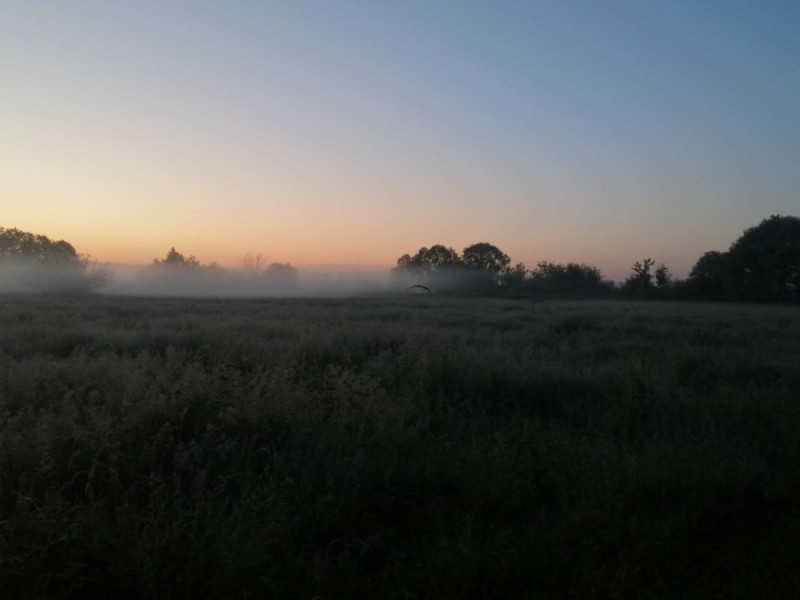 Create meme: dawn-dusk, dawn in the village, fog 
