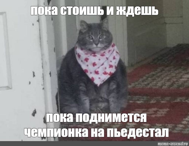 Стой пока