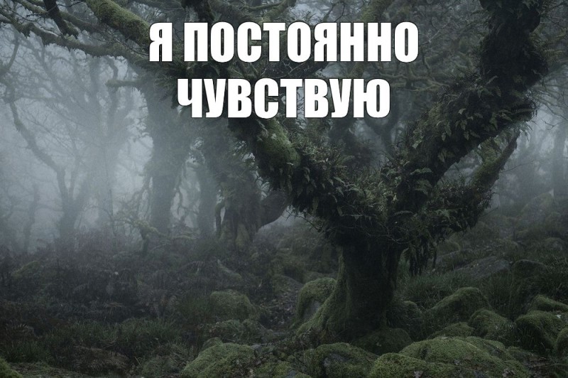 Создать мем: нил бернелл мистический лес, мистический лес, уистманс вуд, англия