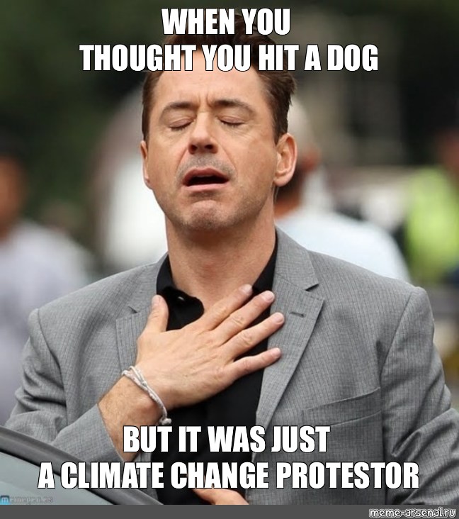 meme-when-you-thought-you-hit-a-dog-but-it-was-just-a-climate-change