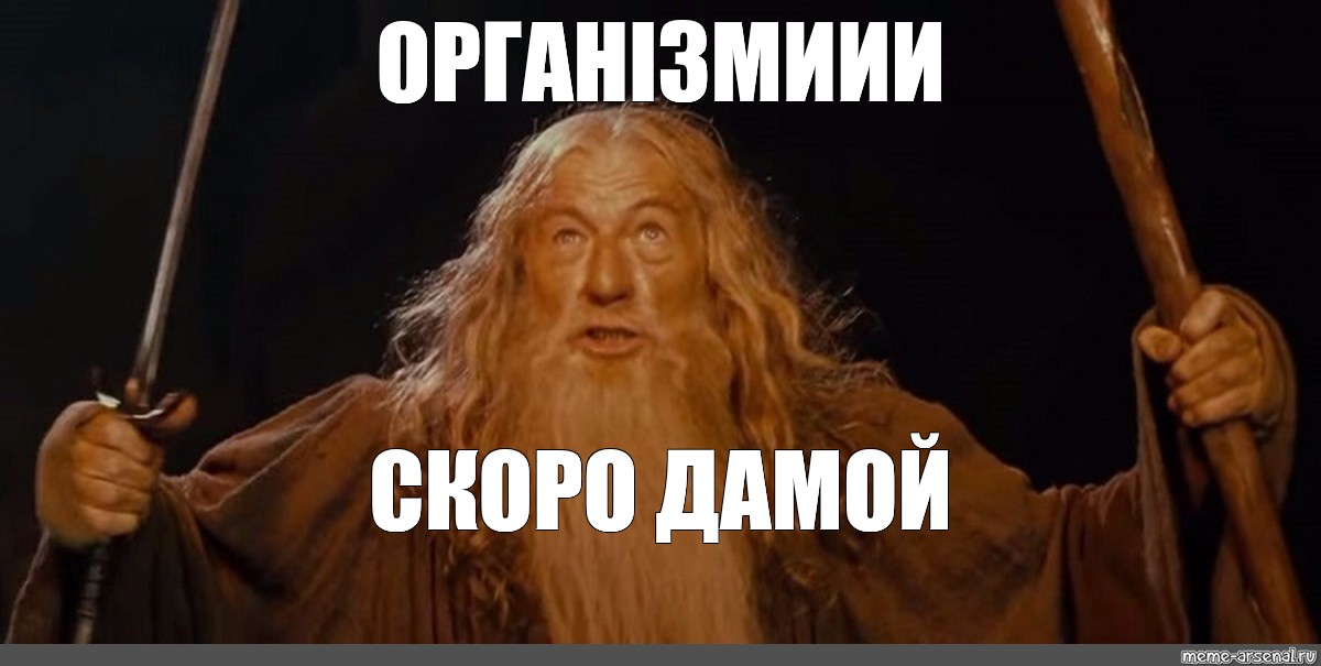 Не прошел. Гэндальф meme. Гэндальф ты не пройдешь. Мем с Гендальфом. Гэндальф Мем бегите.