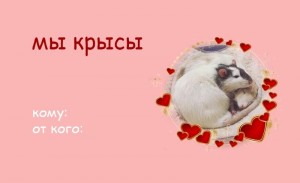Create meme: Valentines, cute animals, hedgehogs animals
