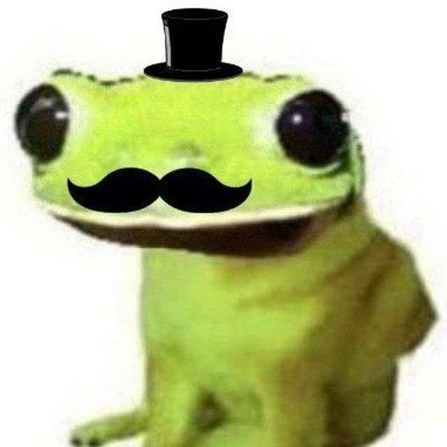 Create meme: toad frog, Chad the dog, dog