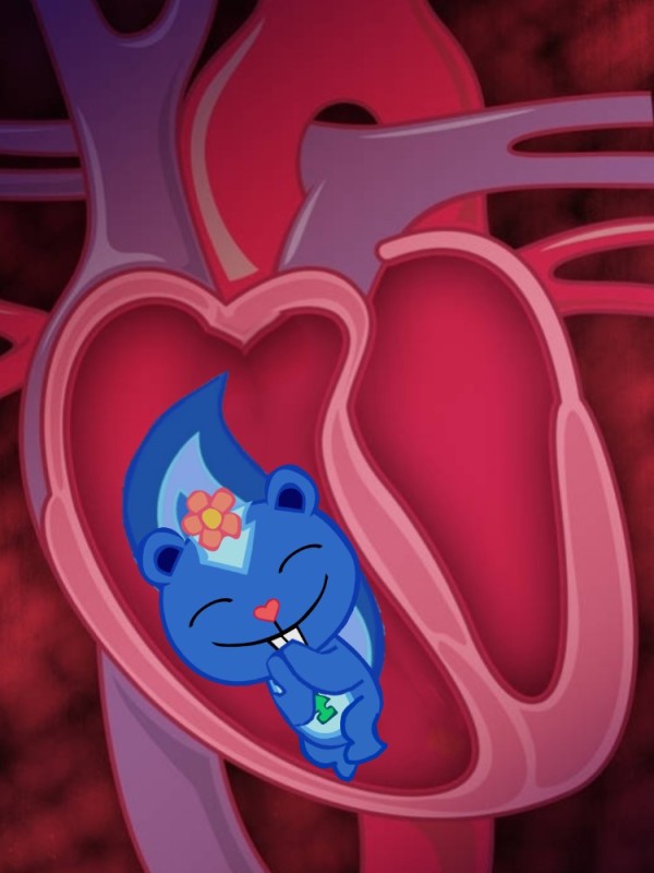 Create meme: heart organ, heart defects, the human heart