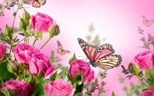 Create meme: butterfly, peonies, roses