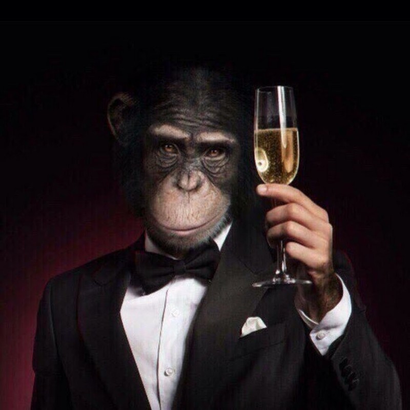 Create meme: a monkey in a suit, Gatsby glass , the great Gatsby the glass 