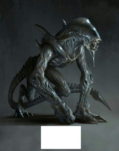 Create Meme Choubaka Xenomorph Raptor Alien Queen Xenomorph From Gorilla Pictures Meme Arsenal Com