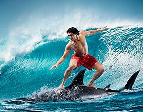 Create meme: quickshortcutmaker, surfboard, shark shark