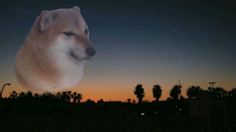 Create meme: dog Shiba inu meme, shiba inu doge, shiba inu dog