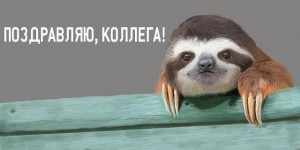 Create meme: sloth