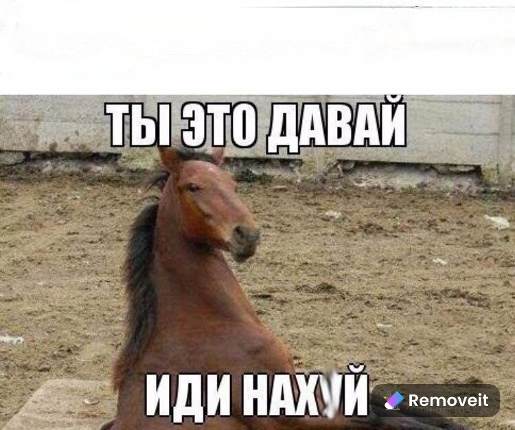 Создать мем: конь в люке мем, мемы с конями, конь мем