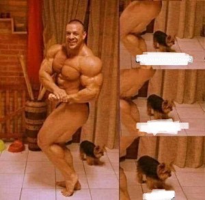 Create meme: all the meat in the house was devoured by a bodybuilder, bodybuilder , sergey shelestov is a bodybuilder